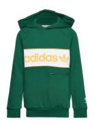 Hoodie Sport Sweatshirts & Hoodies Hoodies Green Adidas Originals