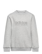 J Allszn Gfx Sw Sport Sweatshirts & Hoodies Sweatshirts Grey Adidas Pe...