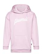 Ess+ Script Hoodie Tr G Sport Sweatshirts & Hoodies Hoodies Pink PUMA