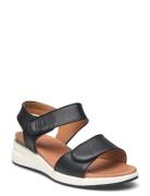 Citr Lla Sandal Med Hæl Black Dasia