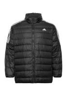 Essentials Light Down Jacket  Sport Jackets Padded Jacket Black Adidas...