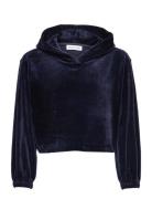 G Frances Cropped Hoodie Tops Sweatshirts & Hoodies Hoodies Blue Desig...