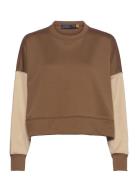 Color-Blocked Cropped Fleece Sweatshirt Tops Sweatshirts & Hoodies Swe...