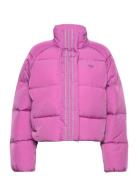 Short Down Jacket Sport Jackets Padded Jacket Pink Adidas Originals