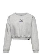 Classics Grl Crew Fl G Sport Sweatshirts & Hoodies Sweatshirts Grey PU...