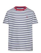 Striped Cotton Jersey Tee Tops T-Kortærmet Skjorte Multi/patterned Ral...