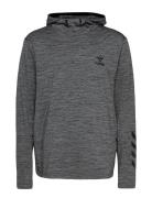 Hmlaston Hoodie Sport Sweatshirts & Hoodies Hoodies Grey Hummel