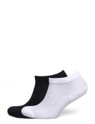 Short Signa Cotta Sock 2 Pack Lingerie Socks Footies-ankle Socks White...