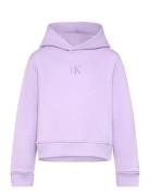 Ck Logo Boxy Hoodie Tops Sweatshirts & Hoodies Hoodies Purple Calvin K...