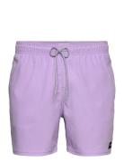 Daily Volley Badeshorts Purple Rip Curl