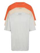 3 Pack Box Tee Tops T-Kortærmet Skjorte White Denim Project