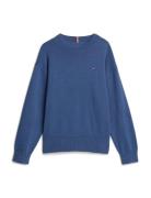 Essential Sweater Tops Sweatshirts & Hoodies Sweatshirts Blue Tommy Hi...