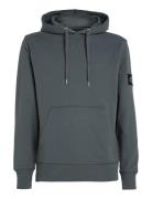 Badge Hoodie Tops Sweatshirts & Hoodies Hoodies Grey Calvin Klein Jean...