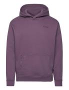 Hco. Guys Sweatshirts Tops Sweatshirts & Hoodies Hoodies Purple Hollis...