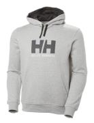 Hh Logo Hoodie Sport Sweatshirts & Hoodies Hoodies Grey Helly Hansen