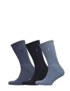 Crew Sock 3-Pack Underwear Socks Regular Socks Blue Polo Ralph Lauren ...