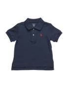 Soft Cotton Polo Shirt Tops T-Kortærmet Skjorte Blue Ralph Lauren Baby