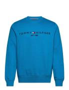 Tommy Logo Sweatshirt Tops Sweatshirts & Hoodies Sweatshirts Blue Tomm...