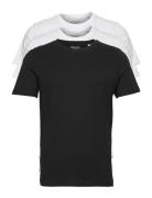 Jjeorganic Basic Tee Ss O-Ne 3Pk Mp Noos Tops T-Kortærmet Skjorte Blac...