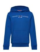 Essential Hoodie Tops Sweatshirts & Hoodies Hoodies Blue Tommy Hilfige...