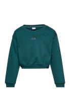 Classics Grl Crew Fl G Sport Sweatshirts & Hoodies Sweatshirts Green P...