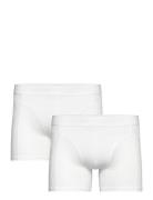 Premium Cotton Stretch Boxer 2P Boxershorts White Björn Borg