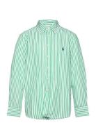 50/1 Poplin-Ls Bd-Si-Sps Tops Shirts Long-sleeved Shirts Green Ralph L...