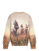 Mattis Tops Sweatshirts & Hoodies Sweatshirts Multi/patterned Molo