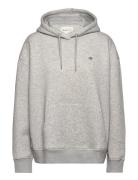 Rel Shield Hoodie Tops Sweatshirts & Hoodies Hoodies Grey GANT