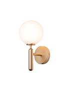 Miira Wall Home Lighting Lamps Wall Lamps Gold Nuura