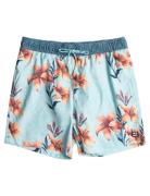 Vacay Lb Badeshorts Blue Billabong