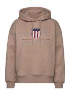 Rel Archive Shield Hoodie Tops Sweatshirts & Hoodies Hoodies Brown GAN...