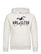 Hco. Guys Sweatshirts Tops Sweatshirts & Hoodies Hoodies Grey Holliste...