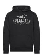 Hco. Guys Sweatshirts Tops Sweatshirts & Hoodies Hoodies Black Hollist...