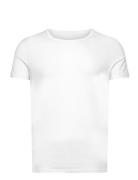Sloggi Men Go Shirt O-Neck Slim Fit Tops T-Kortærmet Skjorte White Slo...