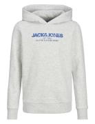 Jjalvis Sweat Hood Jnr Tops Sweatshirts & Hoodies Hoodies Grey Jack & ...