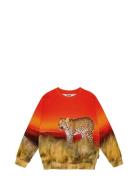 Miksi Tops Sweatshirts & Hoodies Sweatshirts Multi/patterned Molo