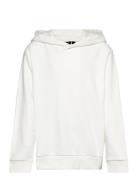 Nlfherry Ls Sweat W Hood Tops Sweatshirts & Hoodies Hoodies Cream LMTD