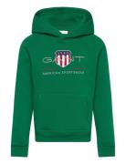 Archive Shield Raglan Hoodie Tops Sweatshirts & Hoodies Hoodies Green ...