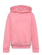 J Szn Gfx Hd Tops Sweatshirts & Hoodies Hoodies Pink Adidas Sportswear