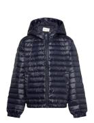 Shiny Light Padded Down Jacket Foret Jakke Navy GANT