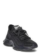 Maxima-R Sneaker Low-top Sneakers Black Steve Madden