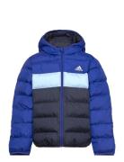 J Sd Jkt Foret Jakke Blue Adidas Sportswear