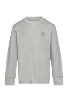 Long Sleeve Tops T-shirts Long-sleeved T-Skjorte Grey Adidas Originals