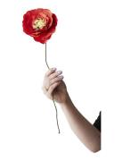 Paper Flower, Ice Poppy Home Decoration Paper Flowers Red Studio About