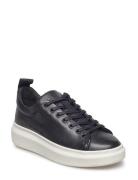 Dee Low-top Sneakers Black Pavement