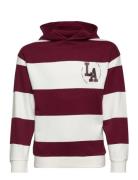 Collegetroja Academy Tops Sweatshirts & Hoodies Hoodies Multi/patterne...