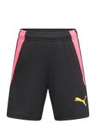 Teamliga Training Shorts 2 Jr  Sport Shorts Sport Shorts Black PUMA