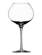 Difference Mature 63Cl  Home Tableware Glass Wine Glass Red Wine Glass...