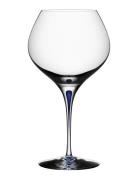 Intermezzo Blue Bouquet 70Cl  Home Tableware Glass Wine Glass Red Wine...